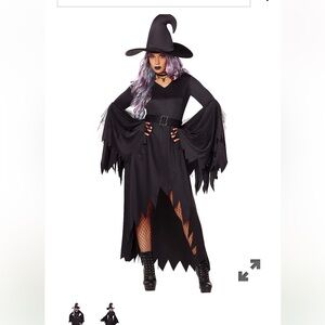 Gothic Witch Halloween Costume